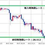 トルコリラ1万通貨を泣く泣く損切り|税金&大幅下落対策ために
