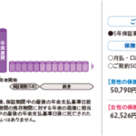 どうしても終身年金が欲しい:日本生命のグランエイジを検討してみた